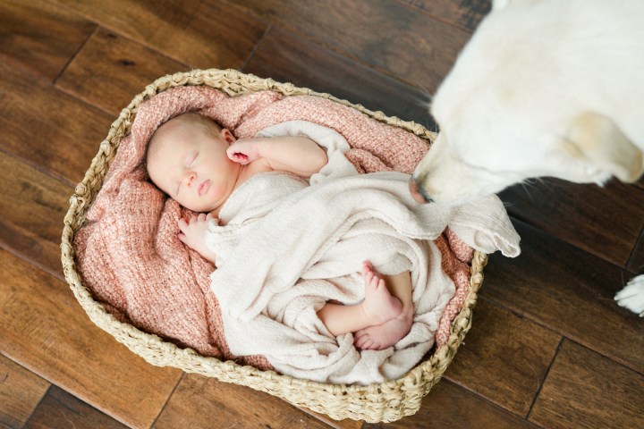 Bringing home baby&nbsp;#2