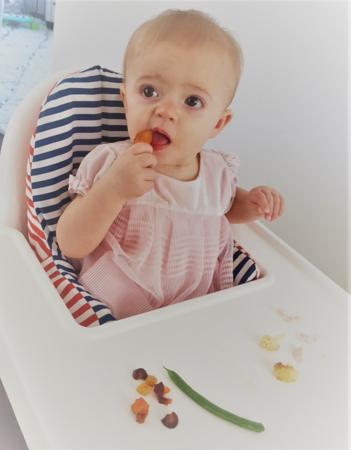 Our Baby Led Weaning Journey